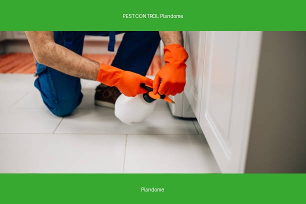 PEST CONTROL Plandome
